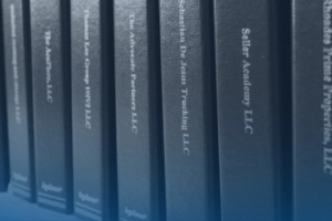 case study - fulfillment solution photo